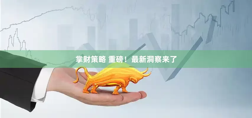掌财策略 重磅！最新洞察来了