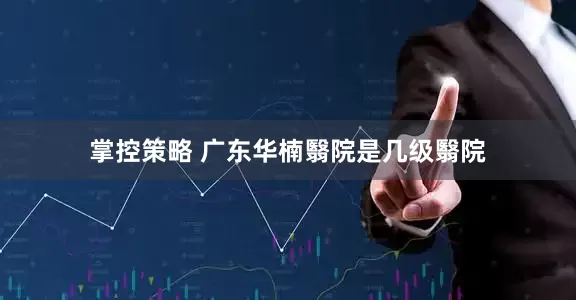 掌控策略 广东华楠翳院是几级翳院